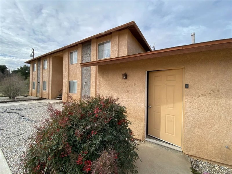 15845 Tokay