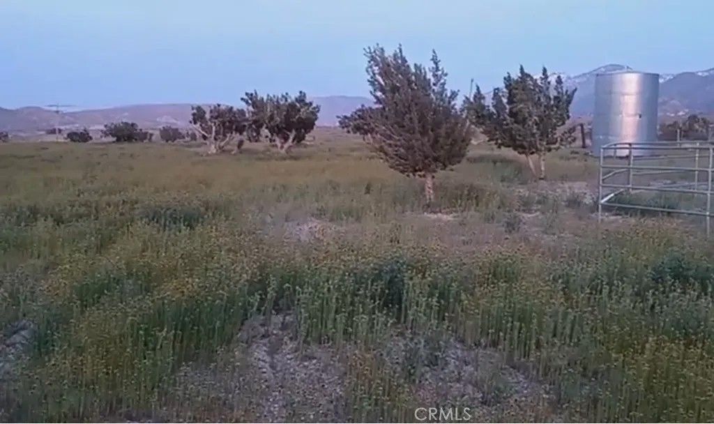 Photo of 0 Vac/Longview Rd/Vic Murphys, Juniper Hills, CA 93543 (MLS # DW25249556)