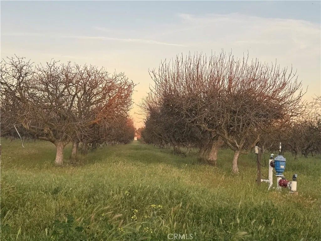 Photo of 0 Road 30, Madera, CA 93638 (MLS # MC26058749)