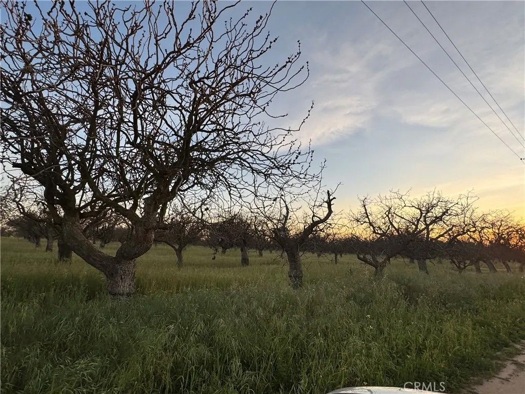 Photo of 0 Road 30, Madera, CA 93638 (MLS # MC26058749)