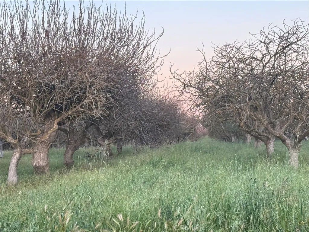 Photo of 0 Road 30, Madera, CA 93638 (MLS # MC26058749)