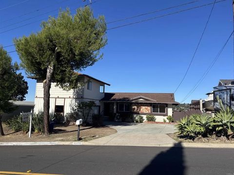 Photo of 10050 Cristobal Drive, Spring Valley, CA 91977 (MLS # PTP2508902)