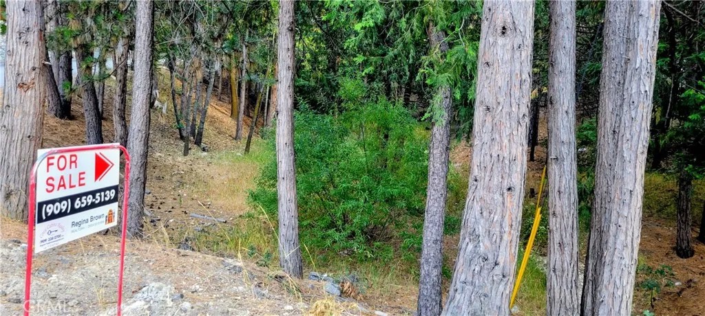0 Grass Valley