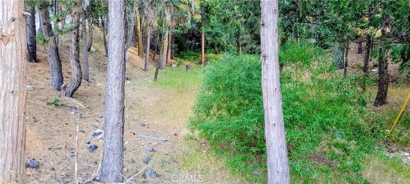 0 Grass Valley