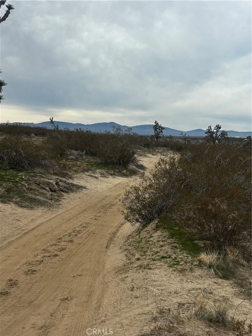 Photo of 0 Dirt Rd, North Edwards, CA 93523 (MLS # SR26017957)