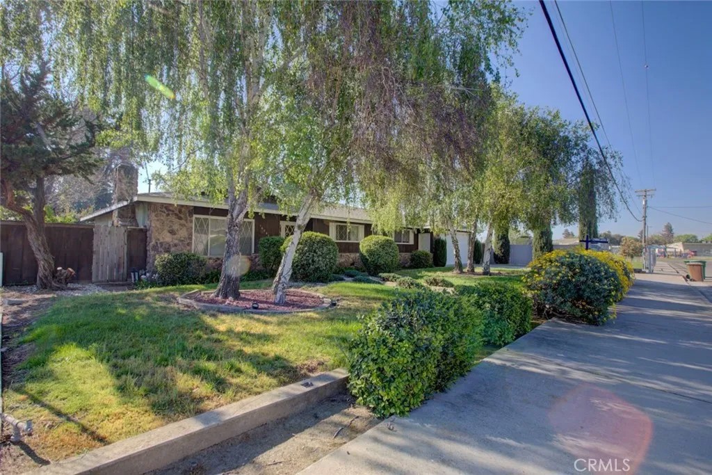 16067 Acacia