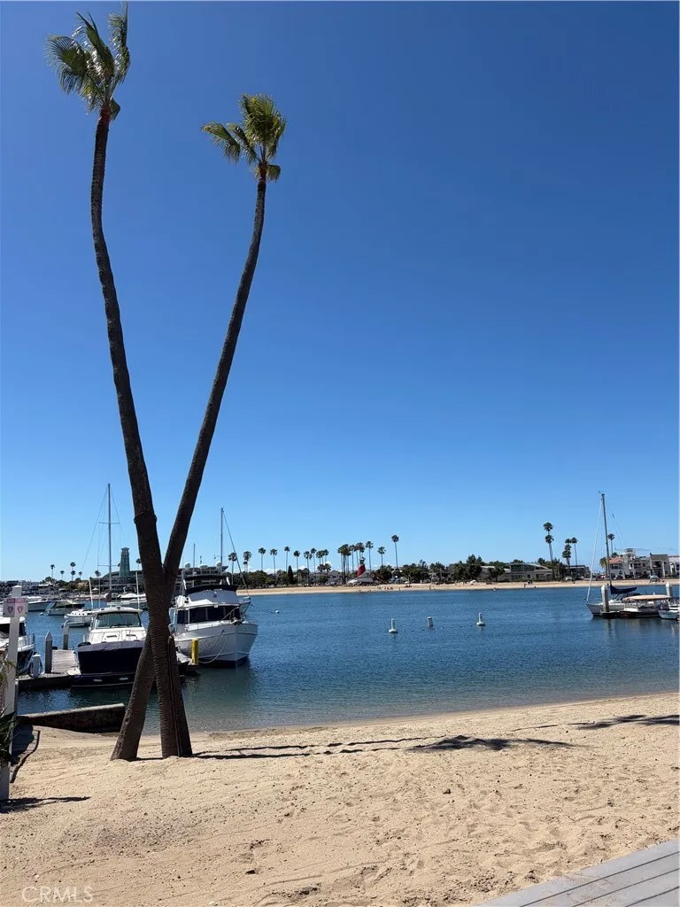39 El Paseo