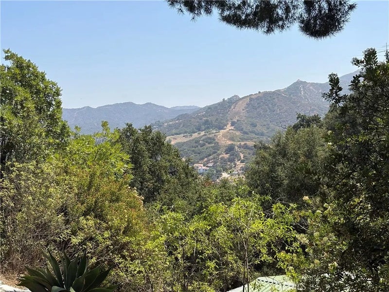 21313 Hillside