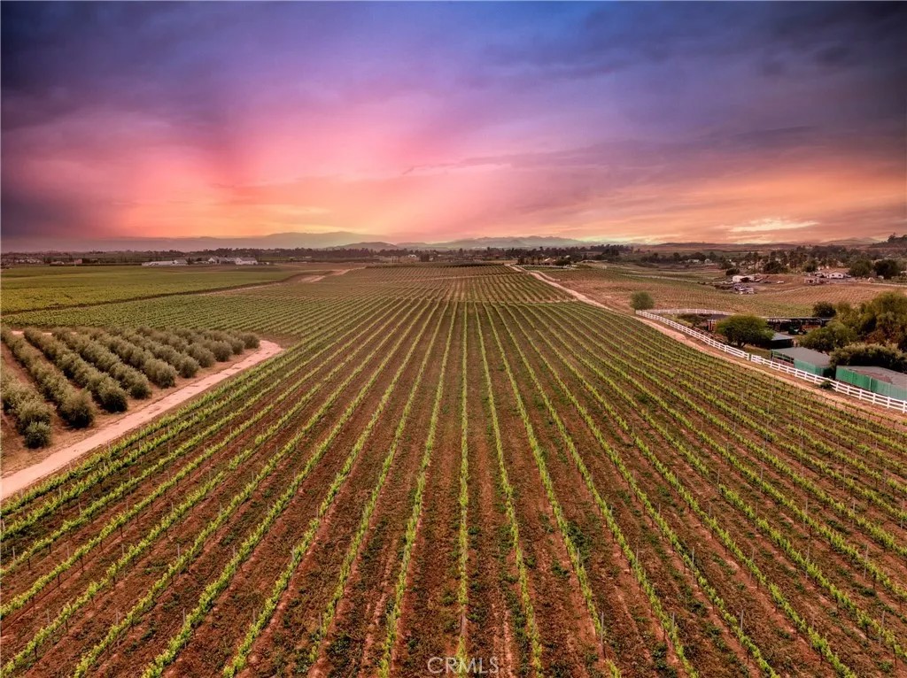 40125 Camino Del Vino