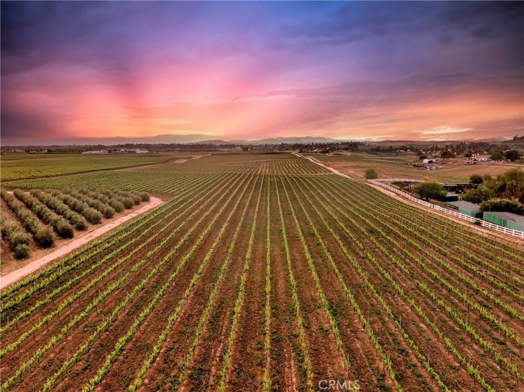 40125 Camino Del Vino