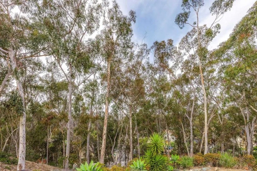 Photo of 2062 Avenue Of The Trees, Carlsbad, CA 92008 (MLS # NDP2510786)