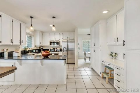 Tiny photo for 9410 Brian Way, El Cajon, CA 92021 (MLS # 250043178)