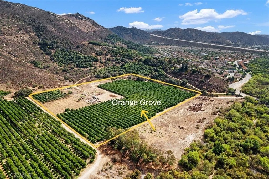 3264 SHEARER CROSSING