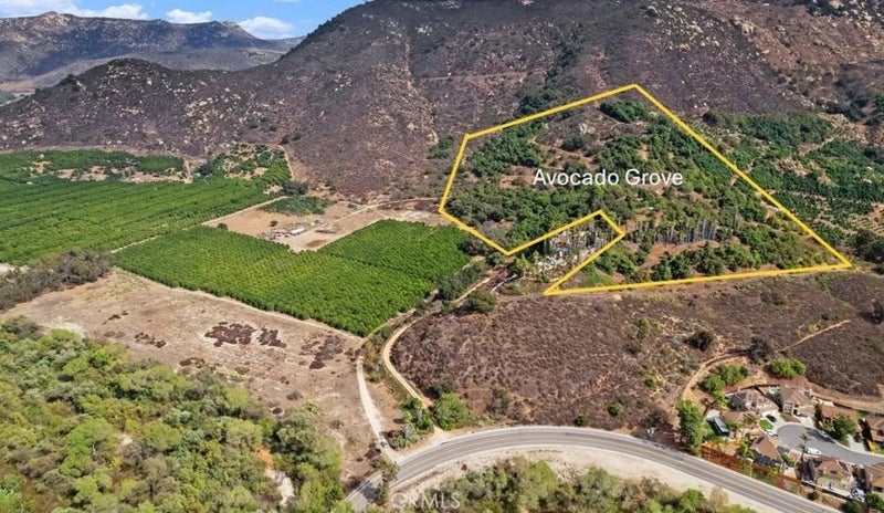 3264 SHEARER CROSSING