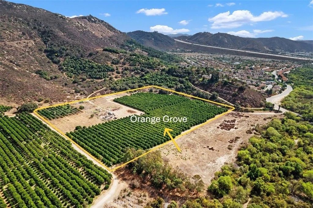Photo of 3264 Shearer Crossing, Fallbrook, CA 92028 (MLS # ND25222032)