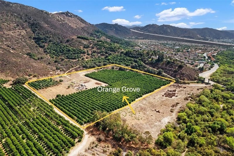 3264 SHEARER CROSSING