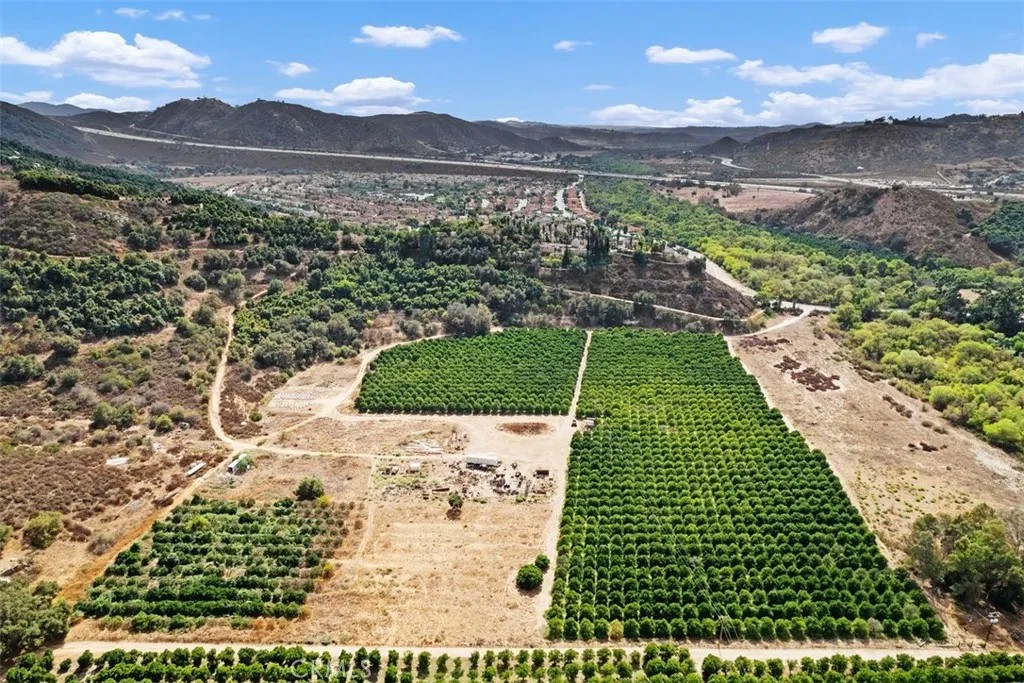 3264 SHEARER CROSSING