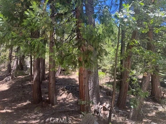 27476 Cedarwood