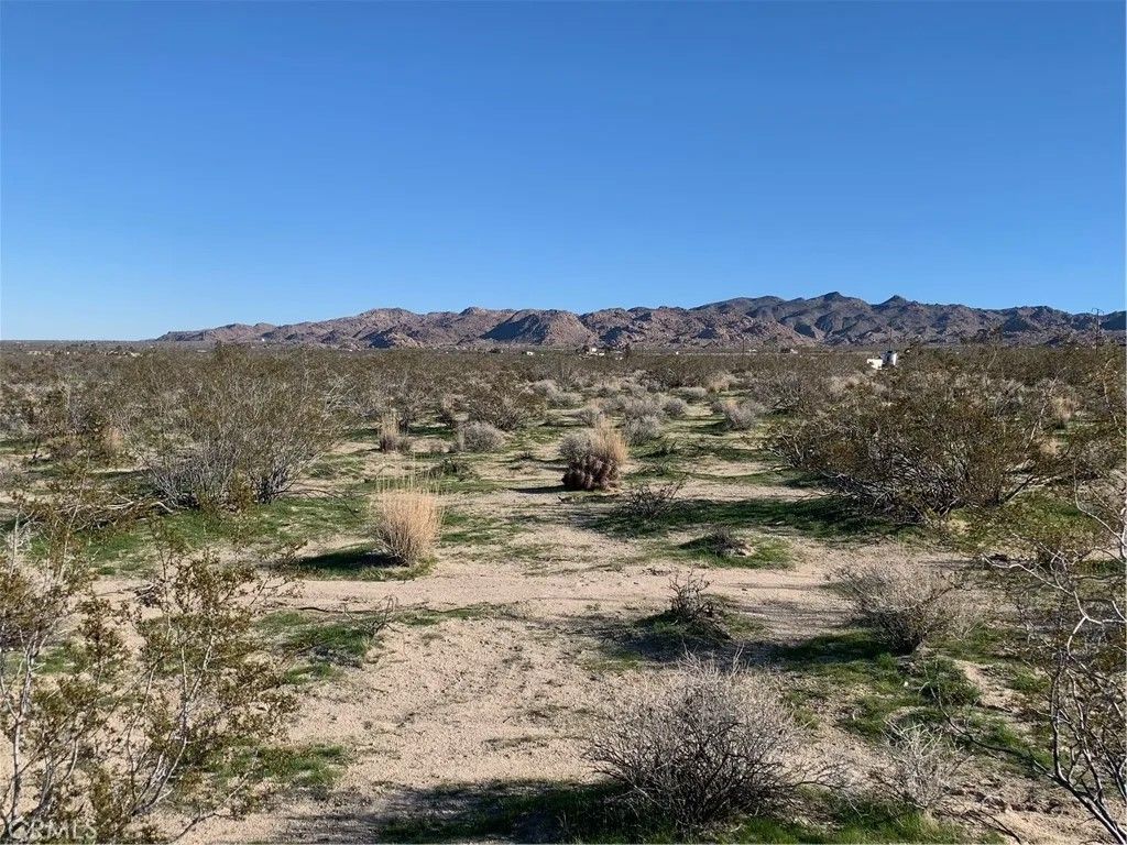 Photo of 0 California, Joshua Tree, CA 92252 (MLS # NP26033784)