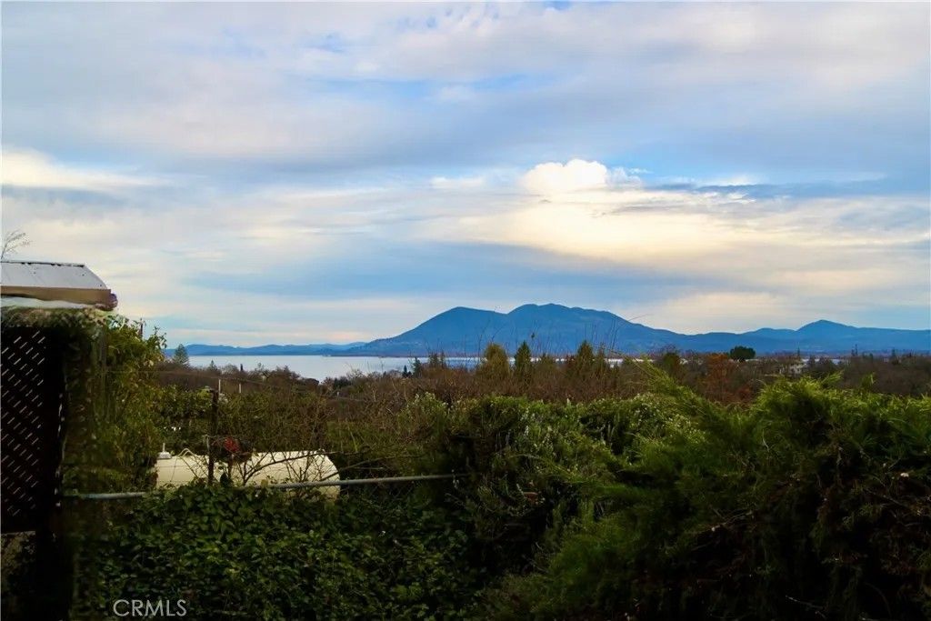 Photo of 1025 Boggs Lane, Lakeport, CA 95453 (MLS # LC26000049)