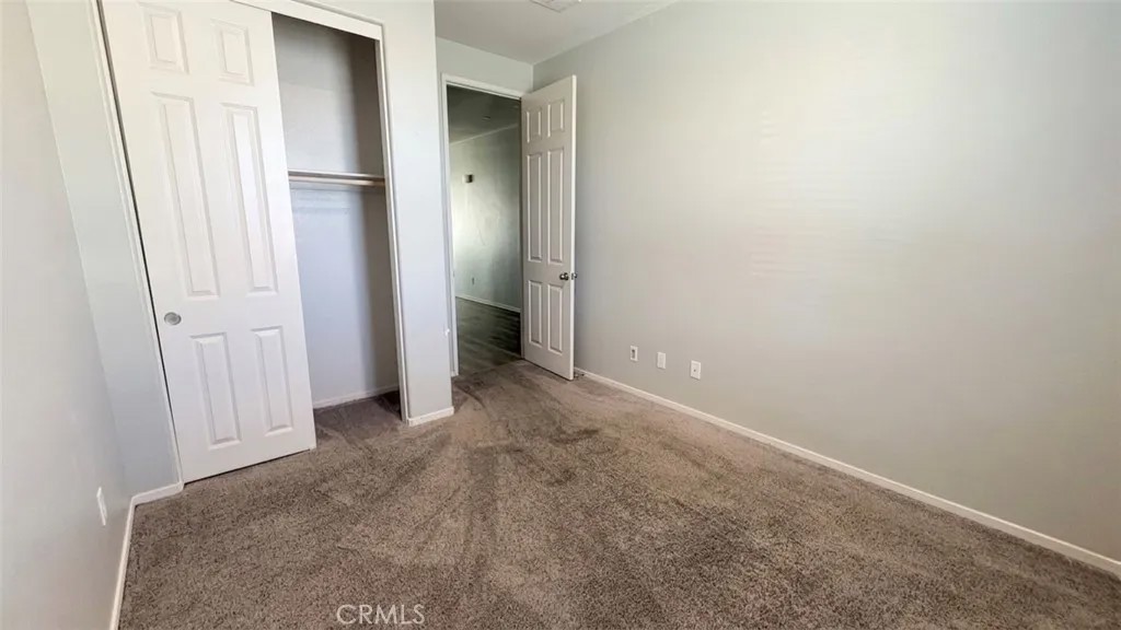 29155 Bottlebrush