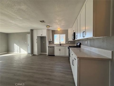 Tiny photo for 19766 Polish Ln, Oro Grande, CA 92368 (MLS # HD25249678)