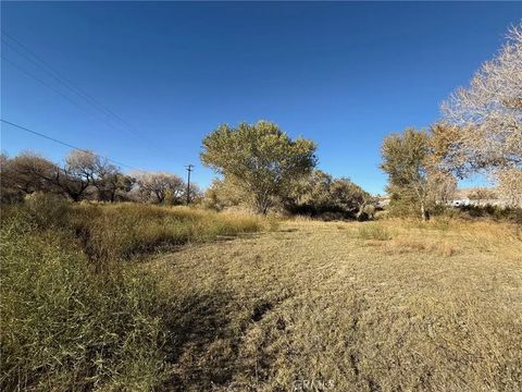 Tiny photo for 19766 Polish Ln, Oro Grande, CA 92368 (MLS # HD25249678)