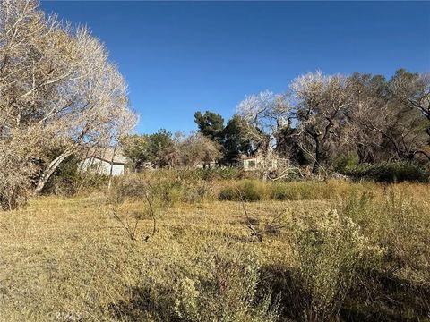 Tiny photo for 19766 Polish Ln, Oro Grande, CA 92368 (MLS # HD25249678)