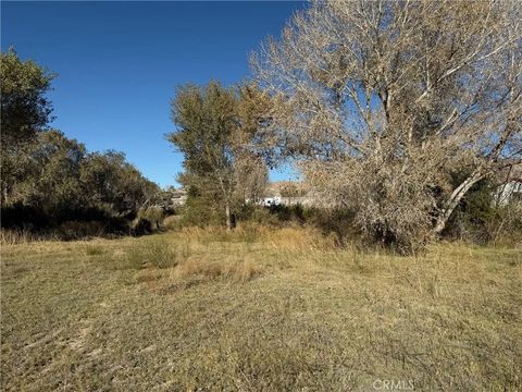 Tiny photo for 19766 Polish Ln, Oro Grande, CA 92368 (MLS # HD25249678)