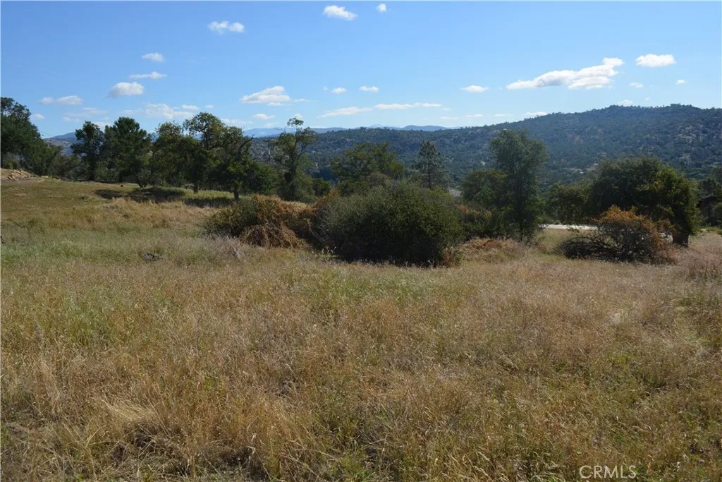 1 Corral Dr