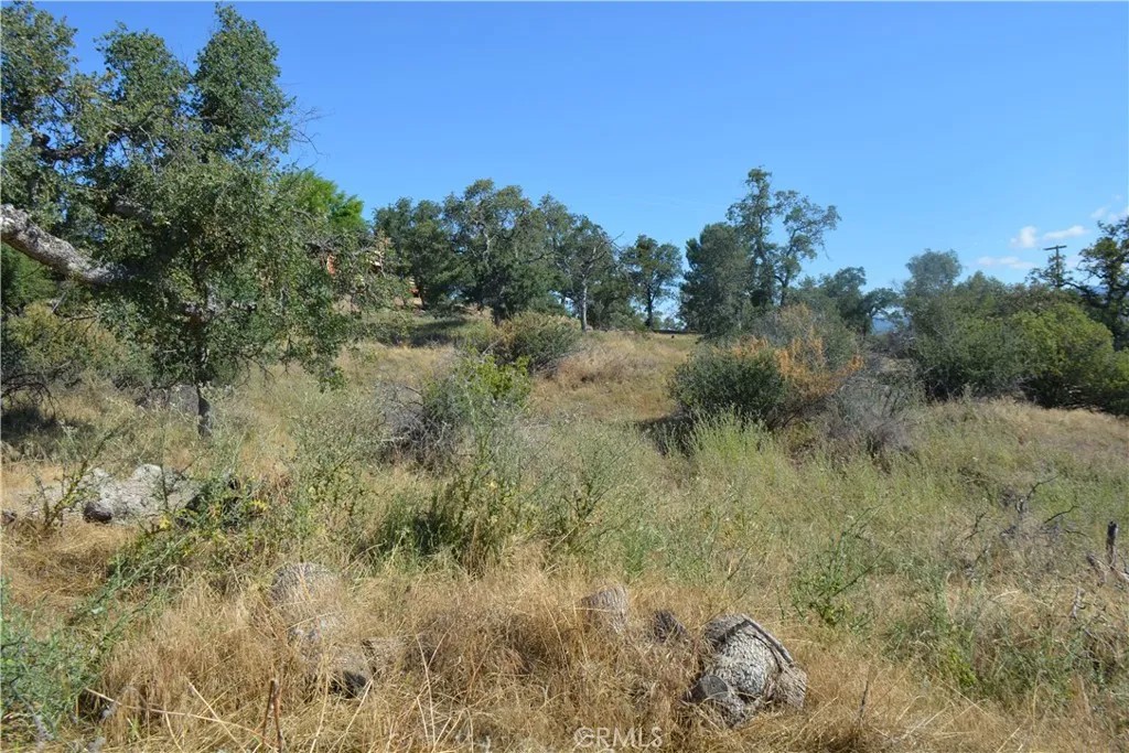 1 Corral Dr