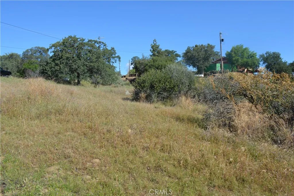 1 Corral Dr