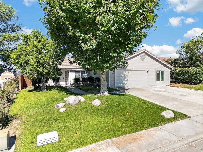 1043 Juniper