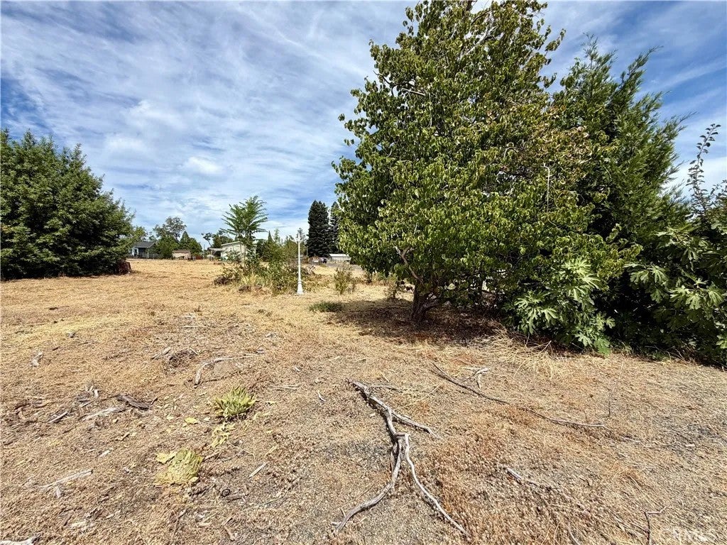 Photo of 5997 Sawmill RD, Paradise, CA 95969 (MLS # SN26187878)