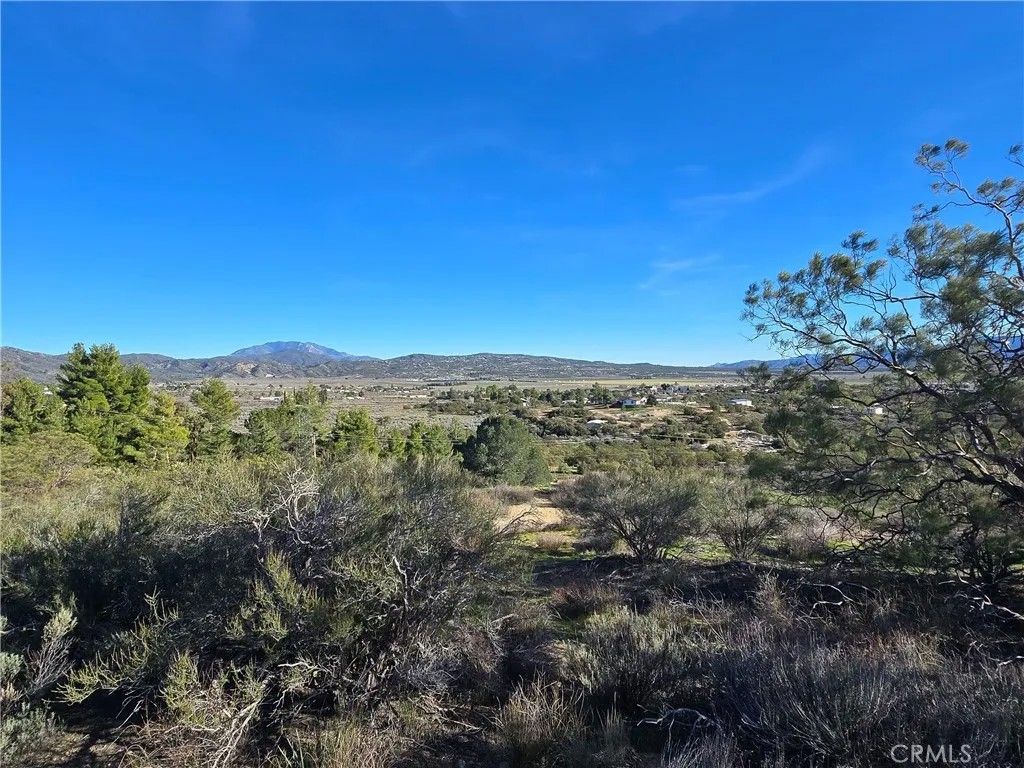 Photo of 46 Anza Crest Road, Anza, CA 92539 (MLS # DW26014065)