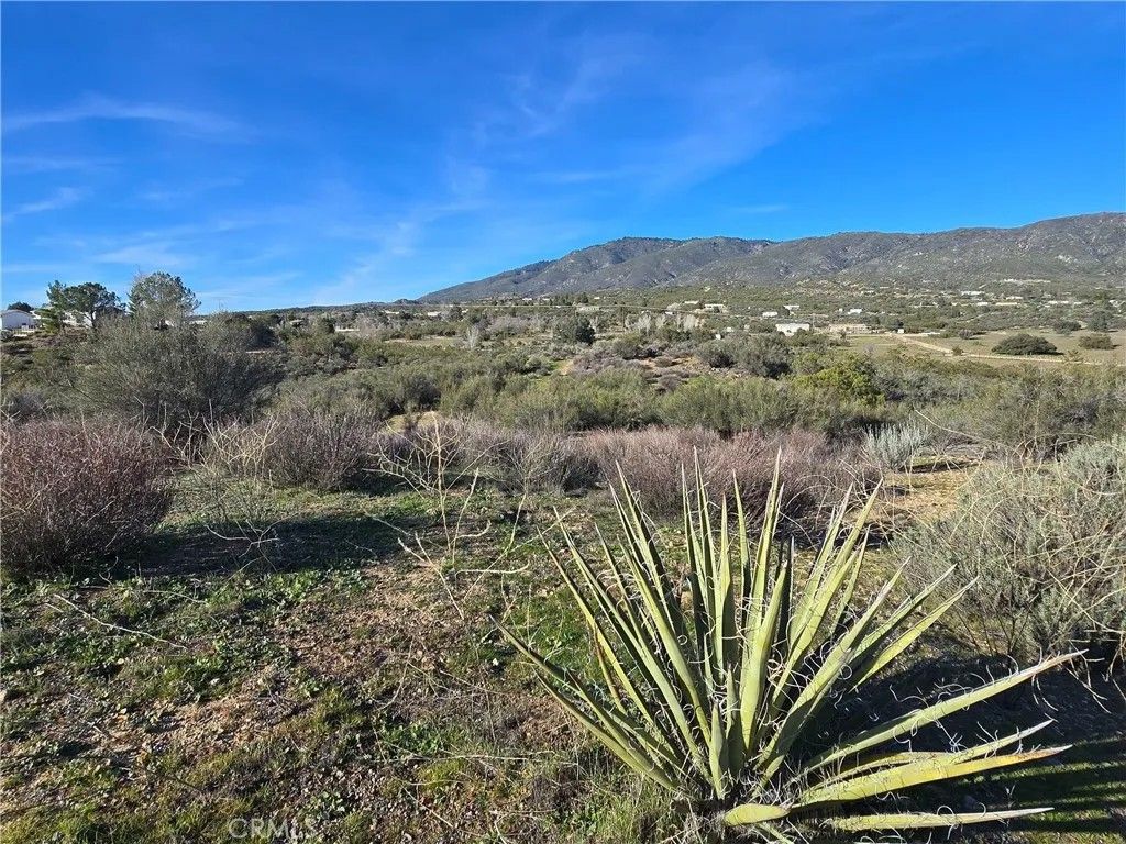 Photo of 46 Anza Crest Road, Anza, CA 92539 (MLS # DW26014065)