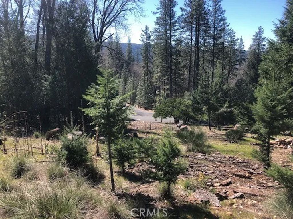 Photo of 8713 Fox Dr, Cobb, CA 95426 (MLS # LC26049030)