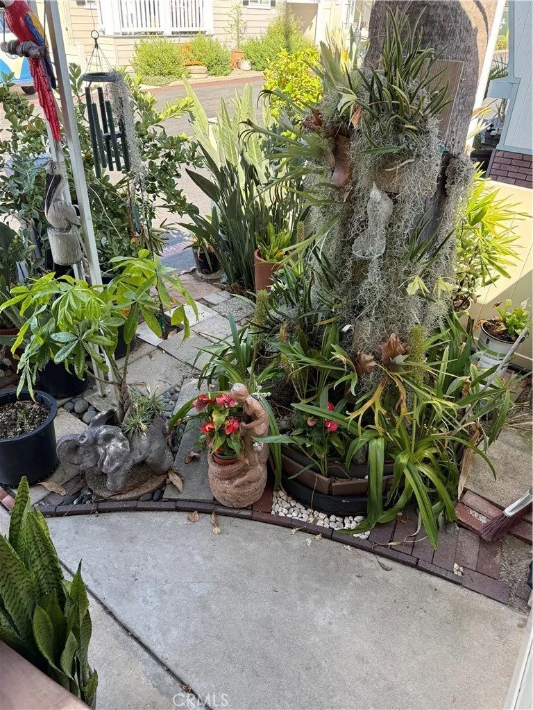 34052 Doheny Park