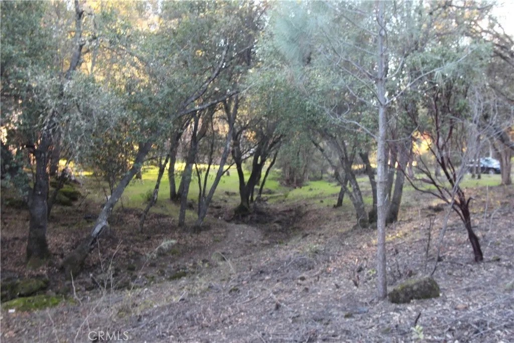 6157 Armijo