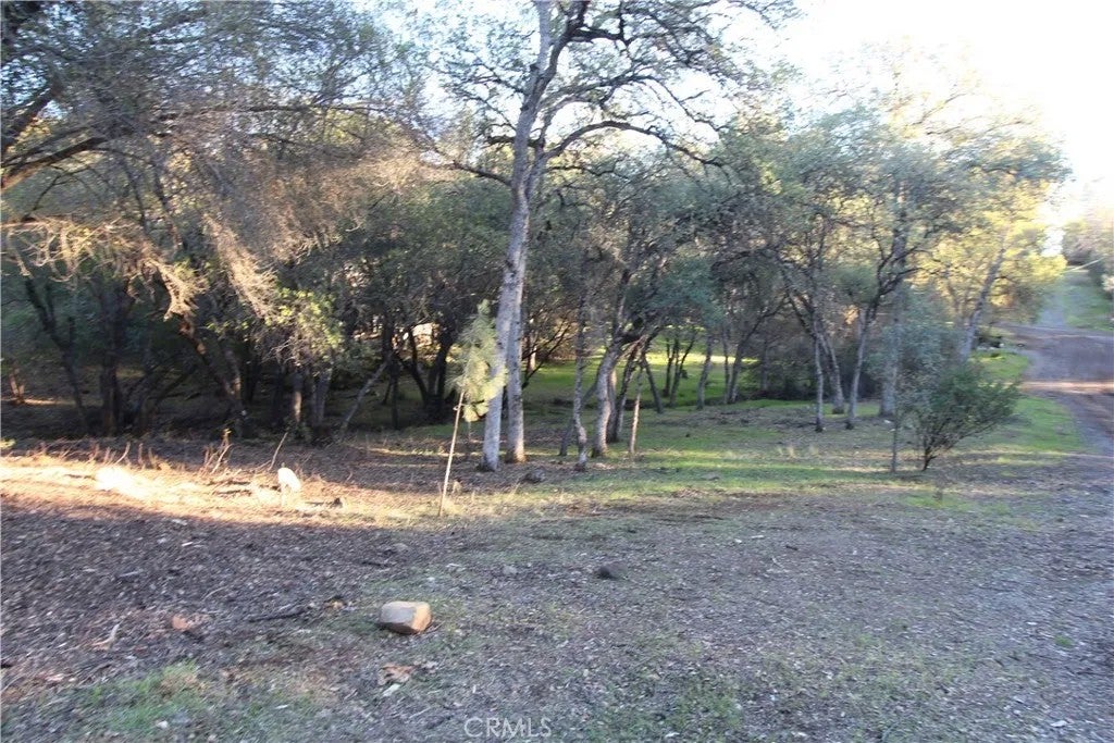 6157 Armijo