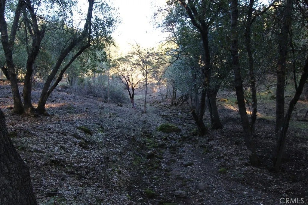 6157 Armijo