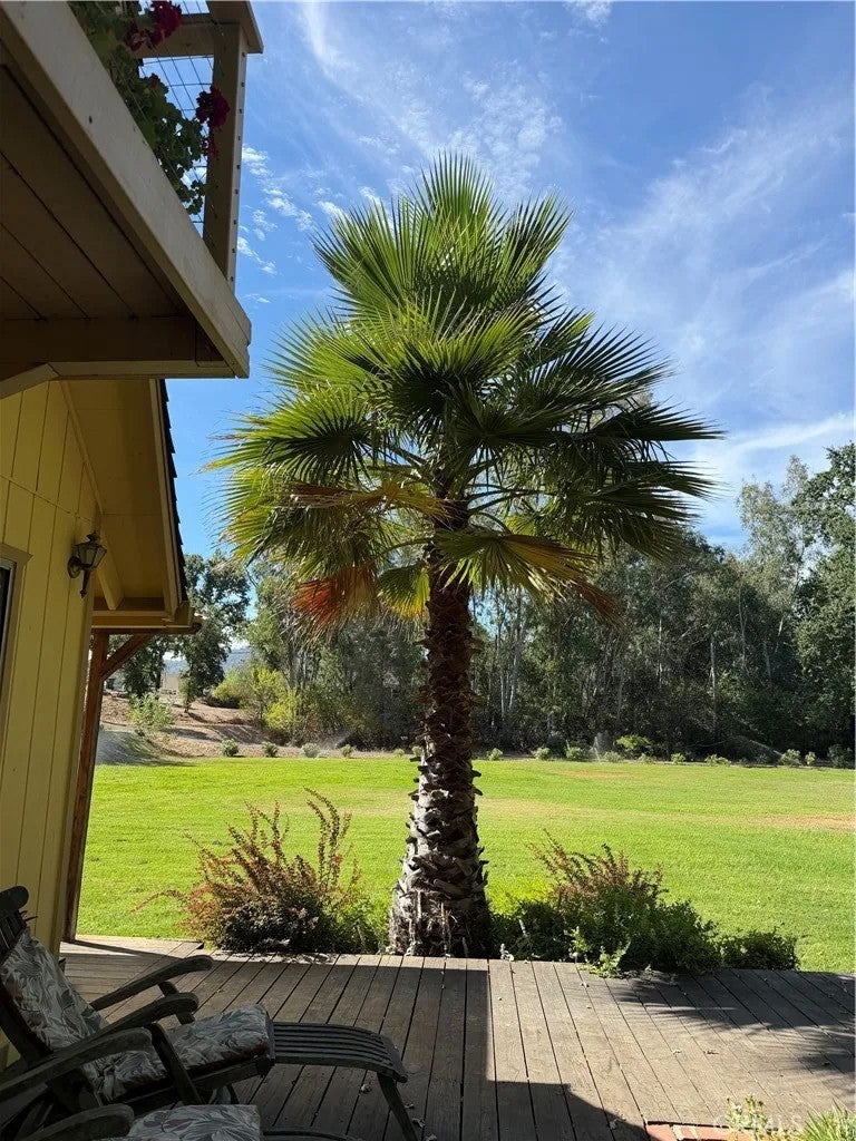 6733 Live Oak Drive
