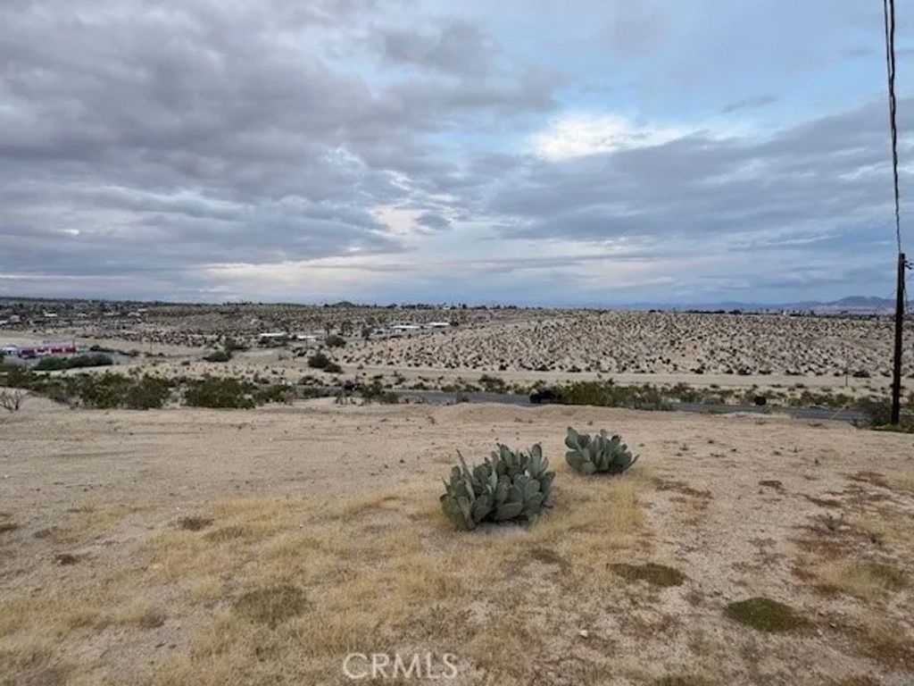 Photo of 73081 Twenty nine palms Hwy, 29 Palms, CA 92277 (MLS # OC25272143)