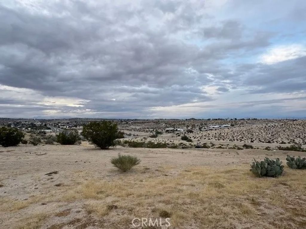 Photo of 73081 Twenty nine palms Hwy, 29 Palms, CA 92277 (MLS # OC25272143)