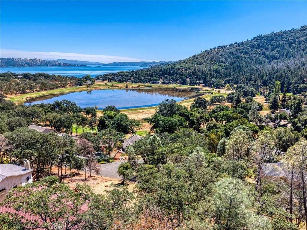 7999 Little Borax Lake Road