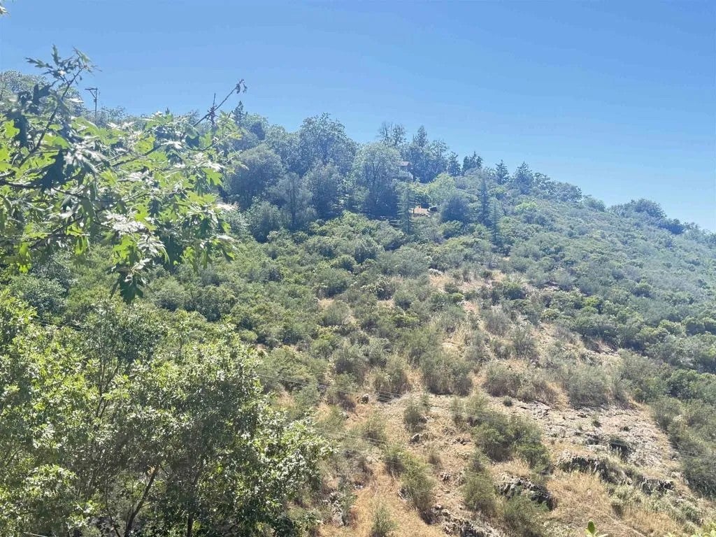 Photo of Azalea, Julian, CA 92036 (MLS # PTP2604310)