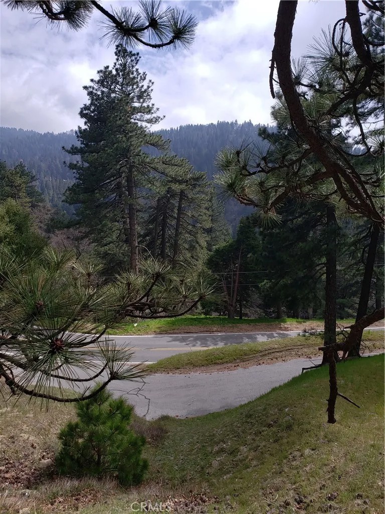 21858 Fern Canyon