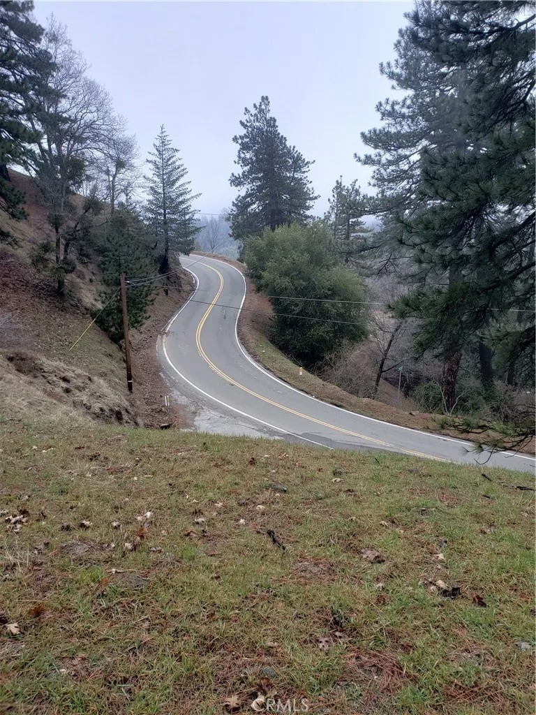 21858 Fern Canyon