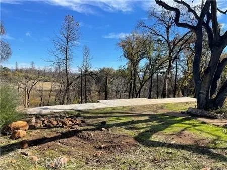 5500 Berry Creek