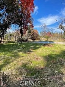5500 Berry Creek